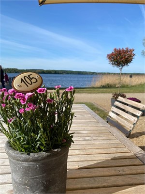 Hotel Gut Immenhof - MICE Service Group